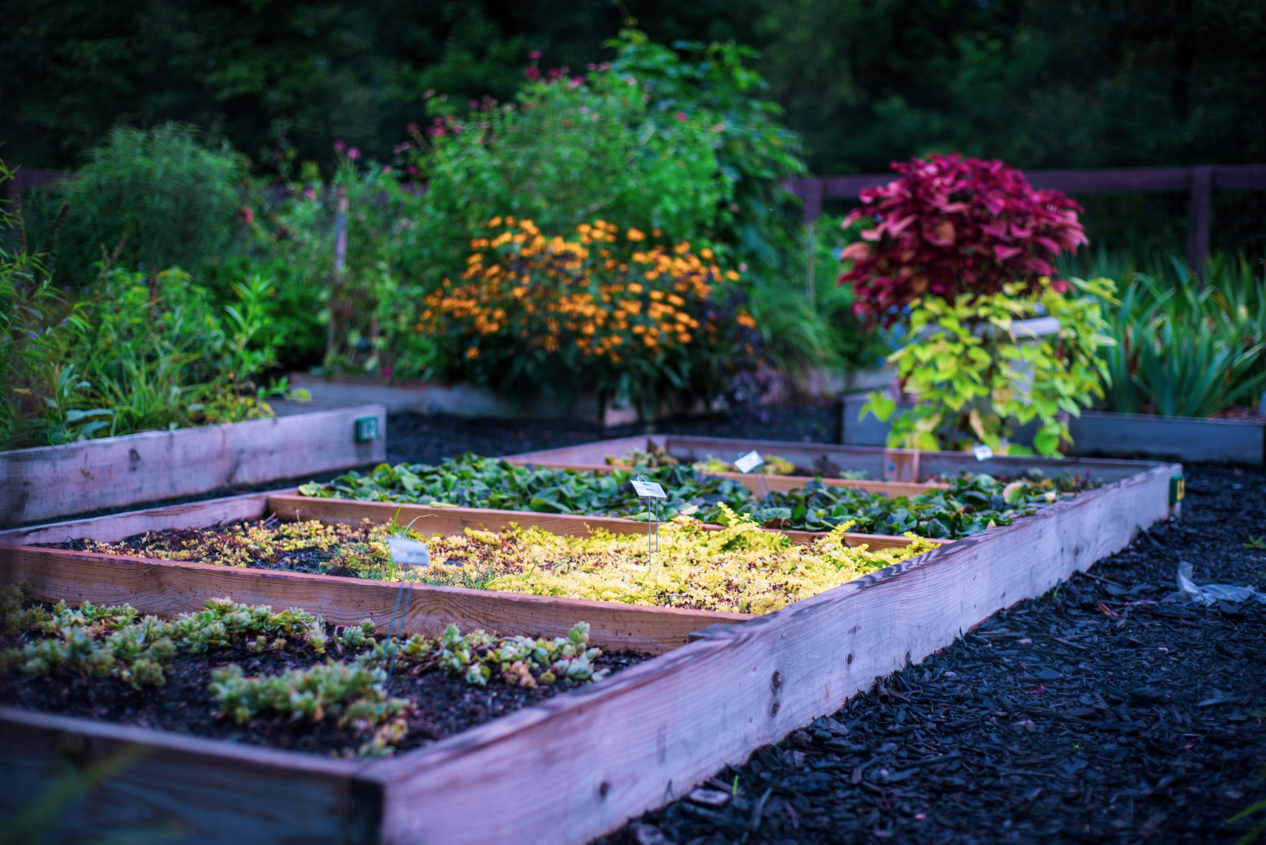 Photojournalism Reed Creek Park The Augusta Press