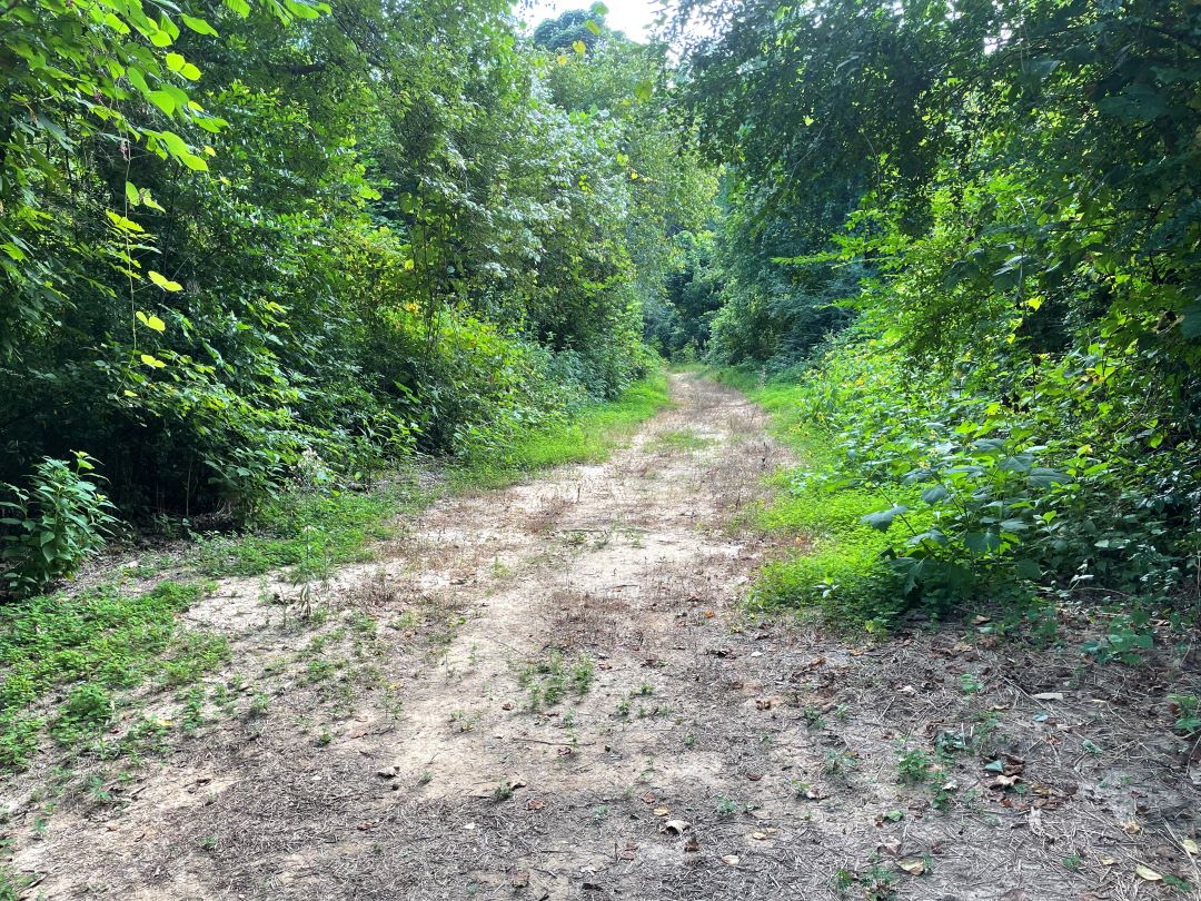 Nature Park Offers HandsOn Learning Experiences The Augusta Press