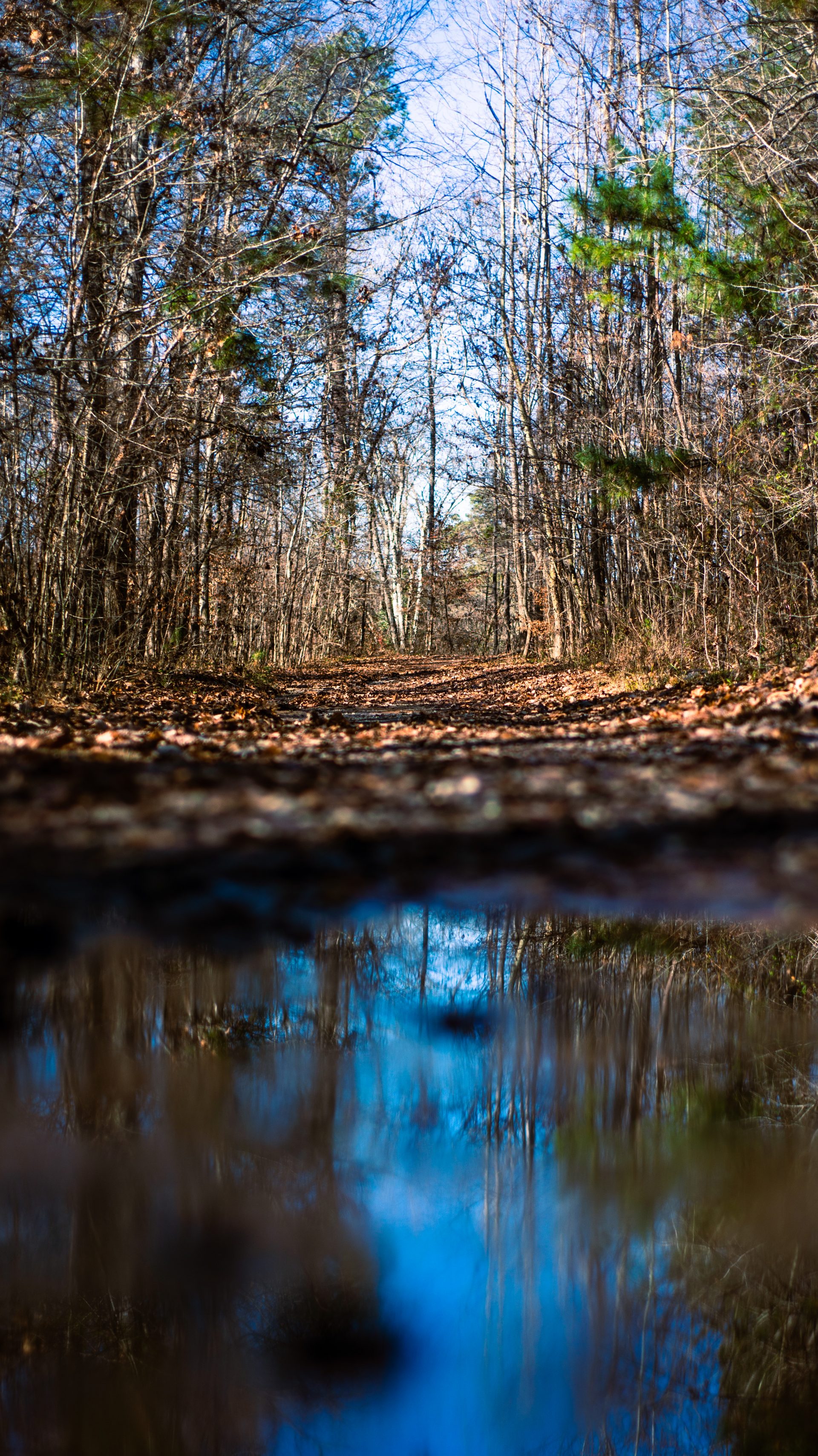 Photojournalism Blanchard Woods Park The Augusta Press